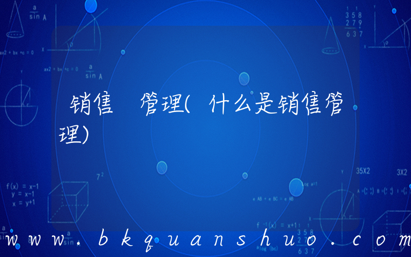 销售 管理(什么是销售管理)